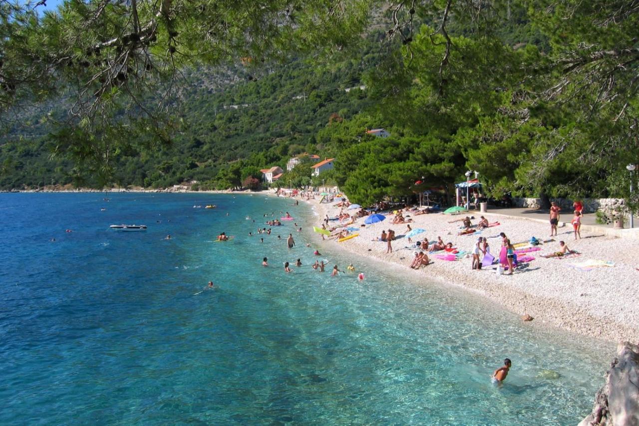 Apartments By The Sea Zivogosce - Porat, Makarska - 20207 Игране Екстериор снимка